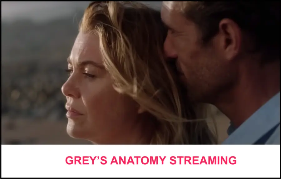 Grey's Anatomy Streaming